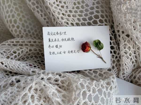 女人最抗拒不了的,是男人温柔又带点坏的调戏