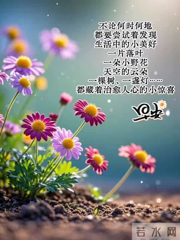 11月24日星期一早安祝福图片