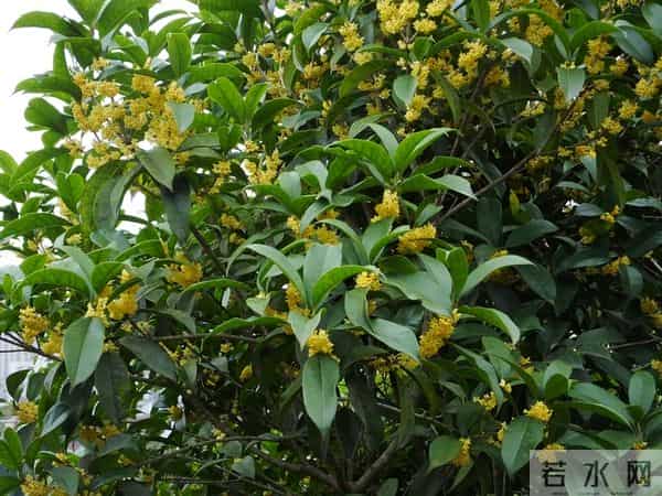 女人被吃定后，明显的变化：主动