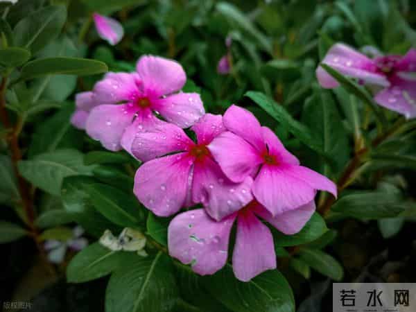 男人“搞定”一个女人后,会有的状态