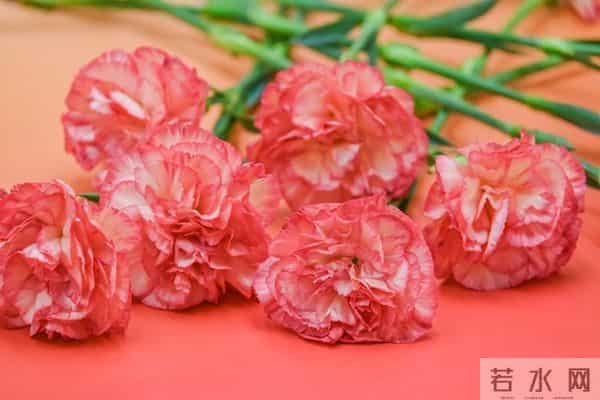 为什么男人对你忽冷忽热？其实真实原因只有一个，很扎心