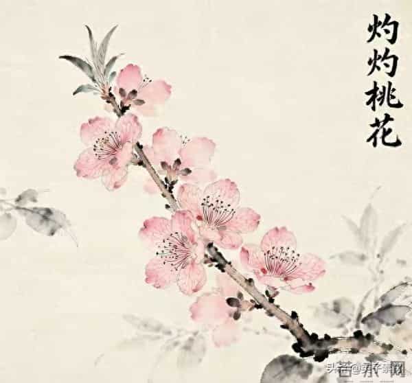 2026这5个星座桃花追着跑