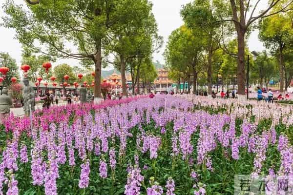 一个男人爱不爱自己的老婆,本质上跟女人没有关系,而是这点