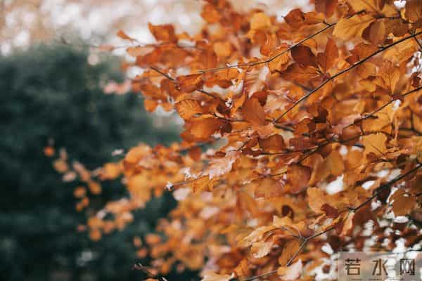 人到中年，有三种关系别再回头：留不住的，别追；走散的，不必见