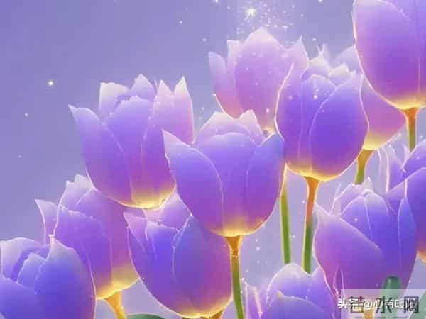 我60岁,突然发现不管你有多少钱,后半生都会遇到四个难题,很准