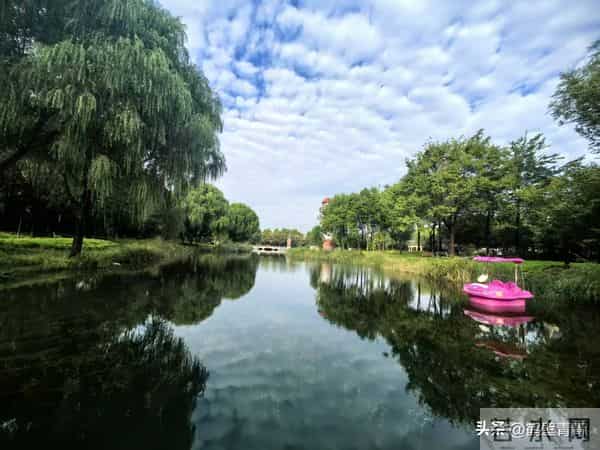 活得干净独立的女人，不仅女人恨她，连男人都恨她