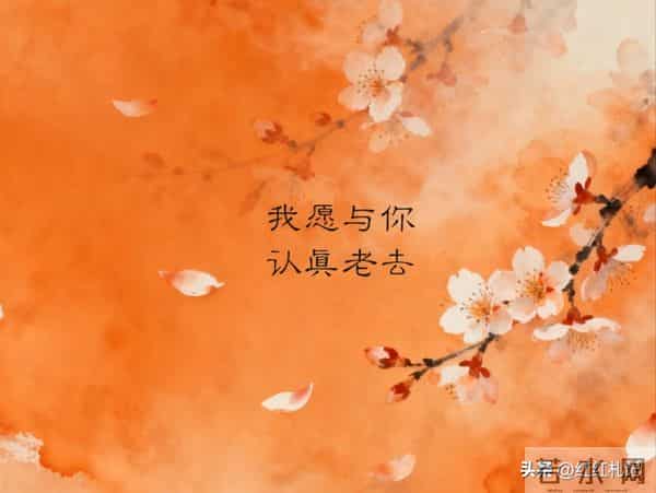 繁华满地，流年如诗不如你。