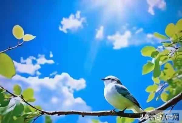 两性关系：越老的女人越喜欢什么？看了你就明白了