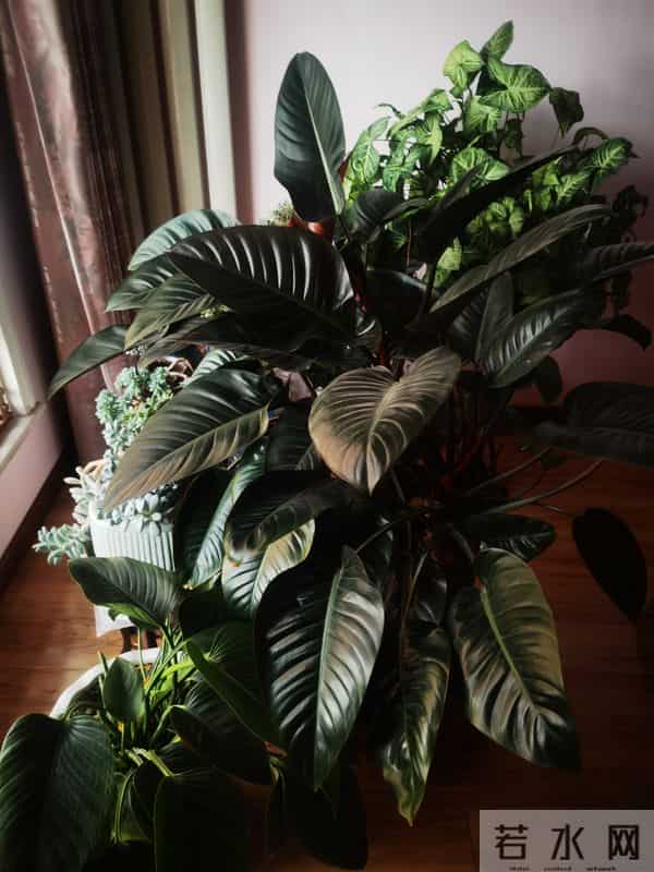 时间浅入冬，岁月深叠念。