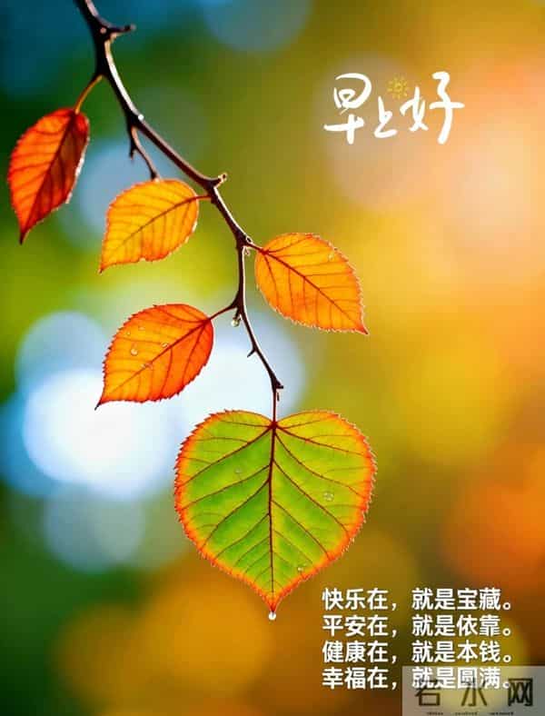 早安,愿今日所得,皆为心之所向