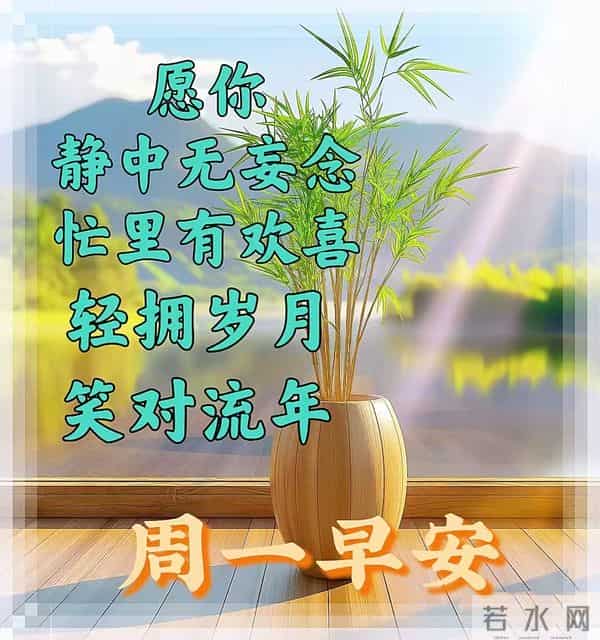 11月24日-最新漂亮早安祝福图片，早安祝福语精选