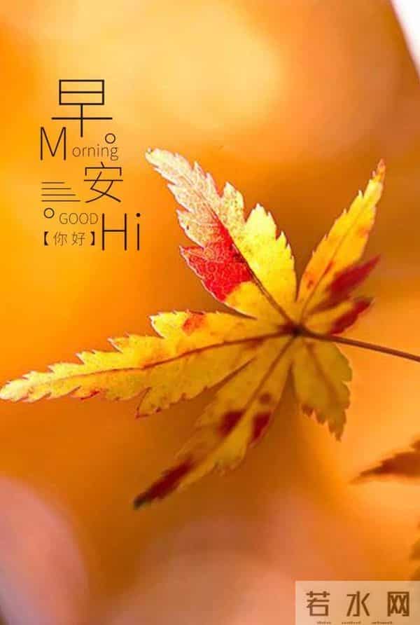 暖心早安祝福,时光轻缓,寒意渐浓,注意保暖,早安吉祥!