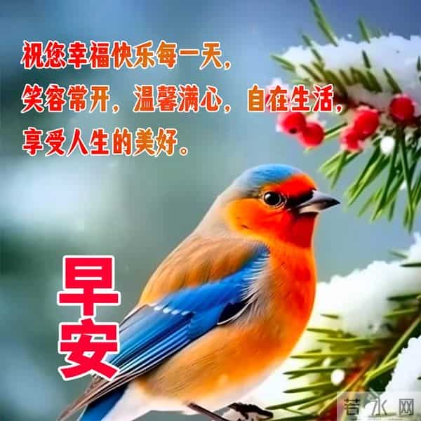 晨曦寄愿，岁月含情。新日已至，早安！