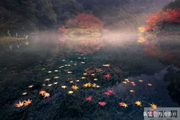 白羊座听好:嘴要慎!这三件事,跟谁都不能说!