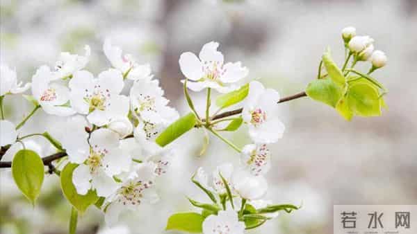 前夫退休跟我分居一年，回来跟我说：离婚吧，她已经有了我的孩子