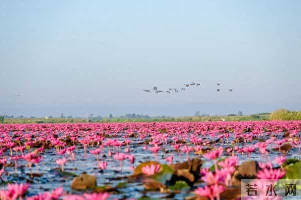 有一种爱,不管是否能够成为夫妻,都会永远放在心上