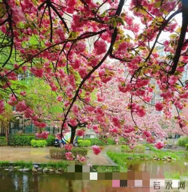 60岁还在焦虑胡思乱想？读懂这3点，后半辈子活得通透又舒心