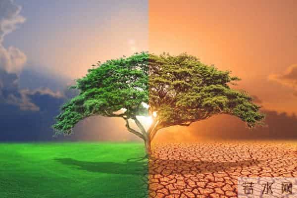 认知越高的人,越明白:人生,是一场因果的修行