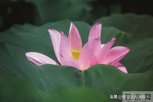 人退休后,最从容的活法:关闲门,养心性,踏山河