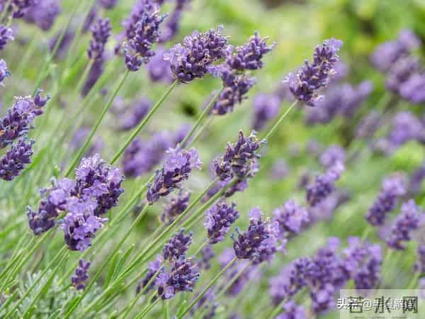 我和老公是丁克，却在十五年结婚纪念日当天，看见他陪别人做产检