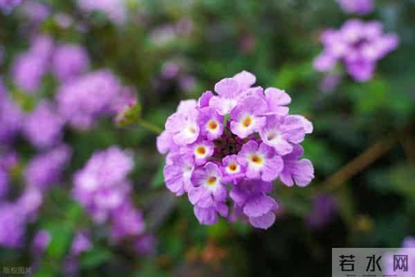 男人“搞定”一个女人后,会有的状态