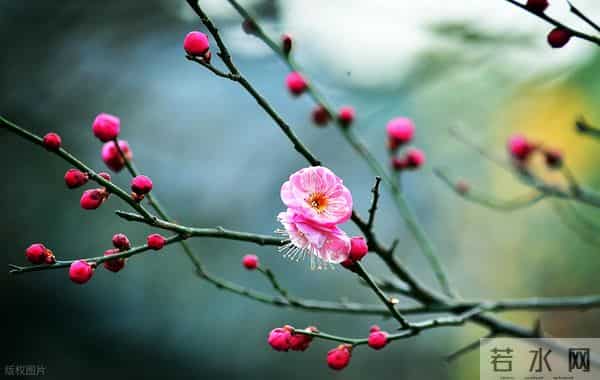 男人“搞定”一个女人后,会有的状态