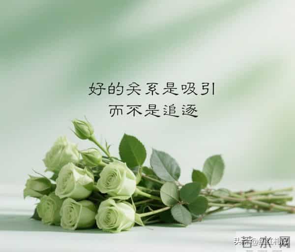 繁华满地，流年如诗不如你。