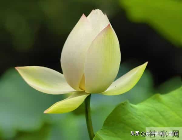 两性相处,中年女人最爱听的8句“心动话”,说对了感情更甜蜜