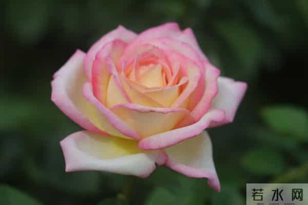 老人注意：这五句话，宁愿烂在肚子里也别对儿媳女婿说