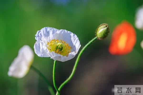 人到中年才懂,无论男女,有过一次不忠,余生只剩两条路