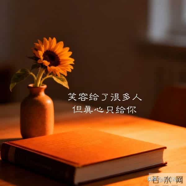 繁华满地，流年如诗不如你。