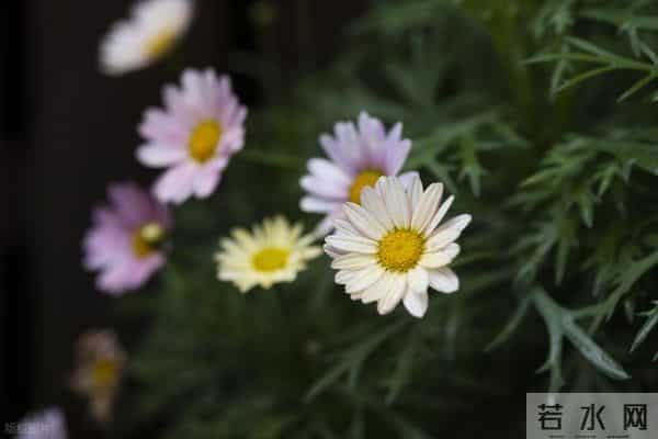 男女交往的真实规则：想让对方一直被你吸引，其实就看一件事