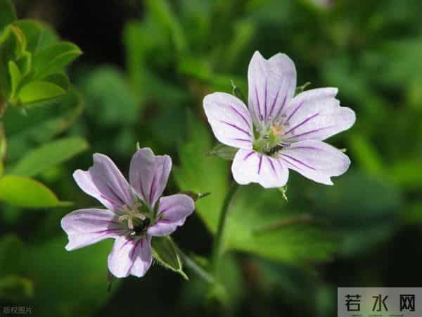 男女交往的真实规则：想让对方一直被你吸引，其实就看一件事