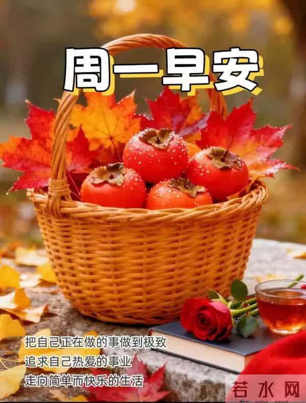 「冬日暖阳」11月24日早上好！初冬的早晨祝福问候语，早安图片