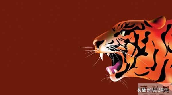 扎心真相:越怂越被欺,强势带边界才不被拿捏!