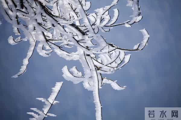 属猪人：11月需要敬而远之的3个人，看看你身边有吗？