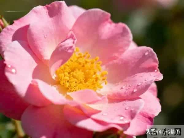 过了60岁才明白：女人找老伴，图的不是钱，不是人，而是一扇门