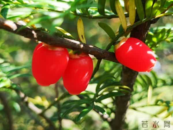 女人一旦给你这些信号,别犹豫,赶紧拥抱她!