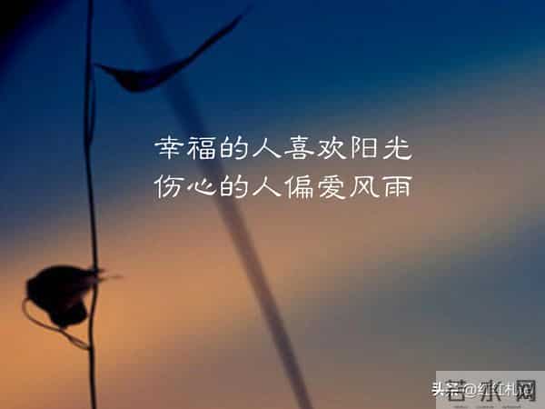 随遇而安,却梦想与你永远相伴。