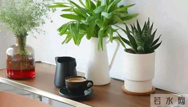 人生后半程，最好的活法，重新养一遍自己