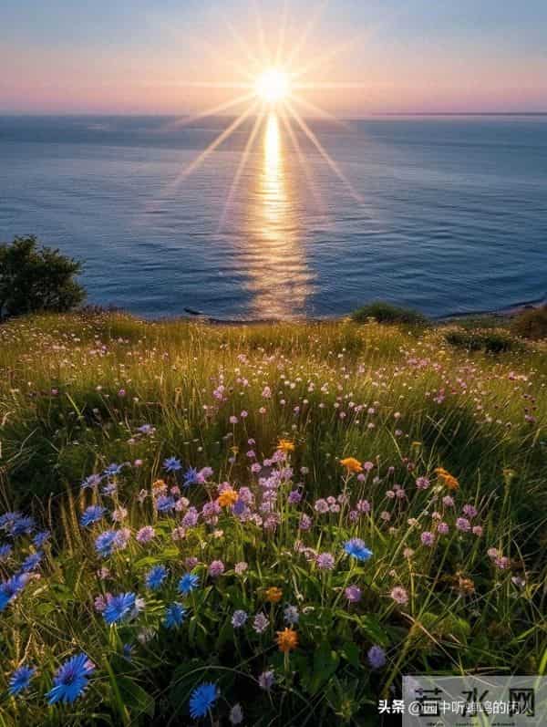 人老了，最嫌弃你的人是谁？主要有三人，看完你就明白了