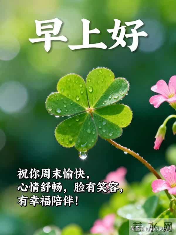 早安图片分享，周末早安图片