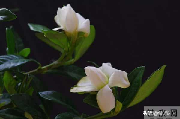 两性关系，惊人发现，60岁与异性靠近，根本不是桃花运，而是这