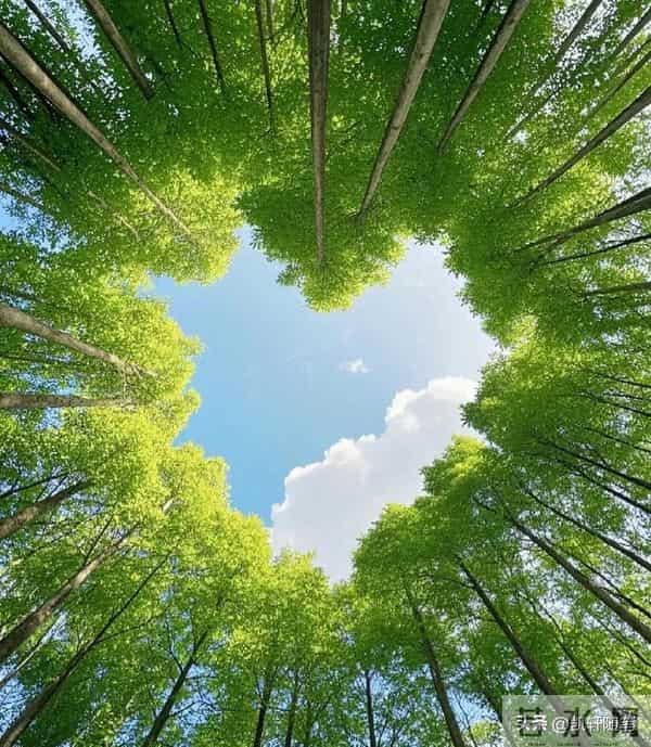 忠告全天下子女：再孝顺，也别为年过70的父母做这4件事