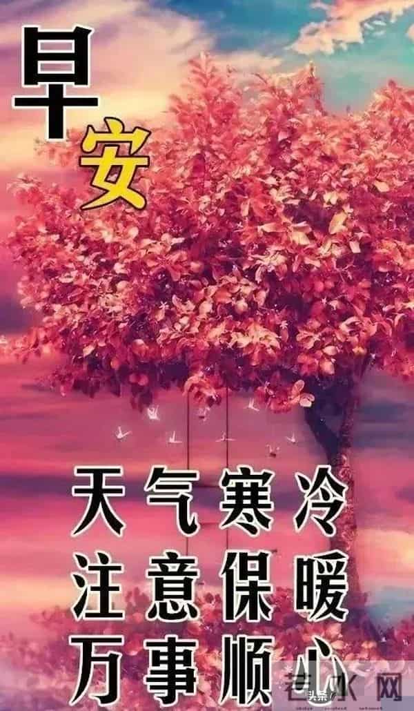 暖心早安祝福,时光轻缓,寒意渐浓,注意保暖,早安吉祥!