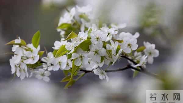 前夫退休跟我分居一年，回来跟我说：离婚吧，她已经有了我的孩子