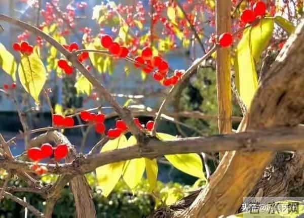 别划走!今天你的"福报”正在派送,请务必查收!