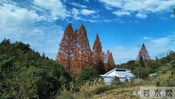 《借你的光走向希望》(原创)文-梧雨