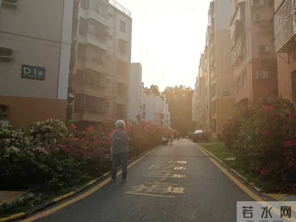 63岁的我,搭伙三次才知道,女人过了60岁找对象太难了,太真实。