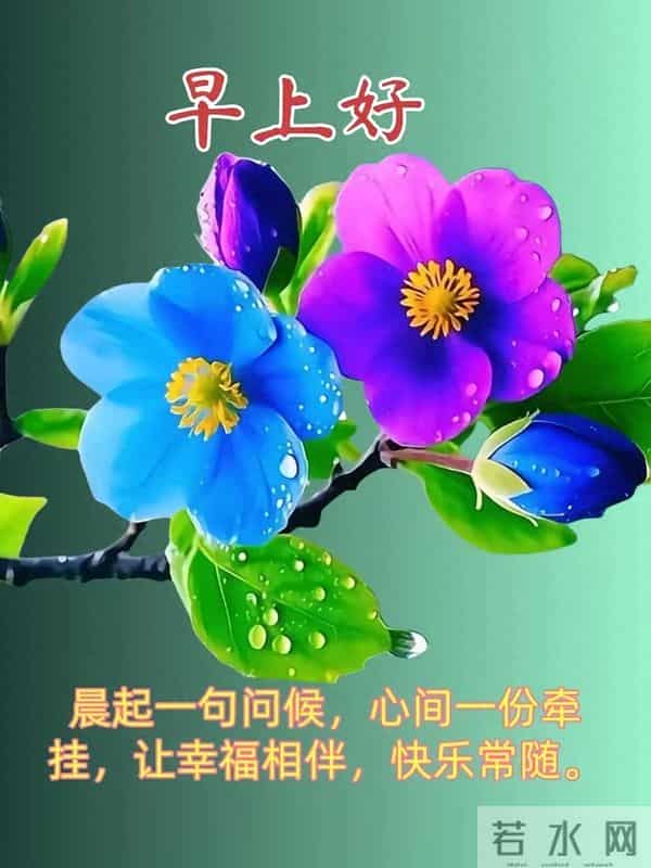 美好的祝福送给你